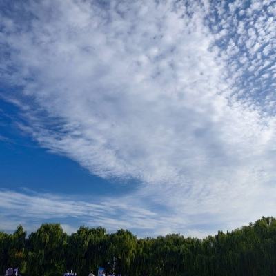 视频早安北京｜今天白天晴间多云，最高气温30℃，限号4和9